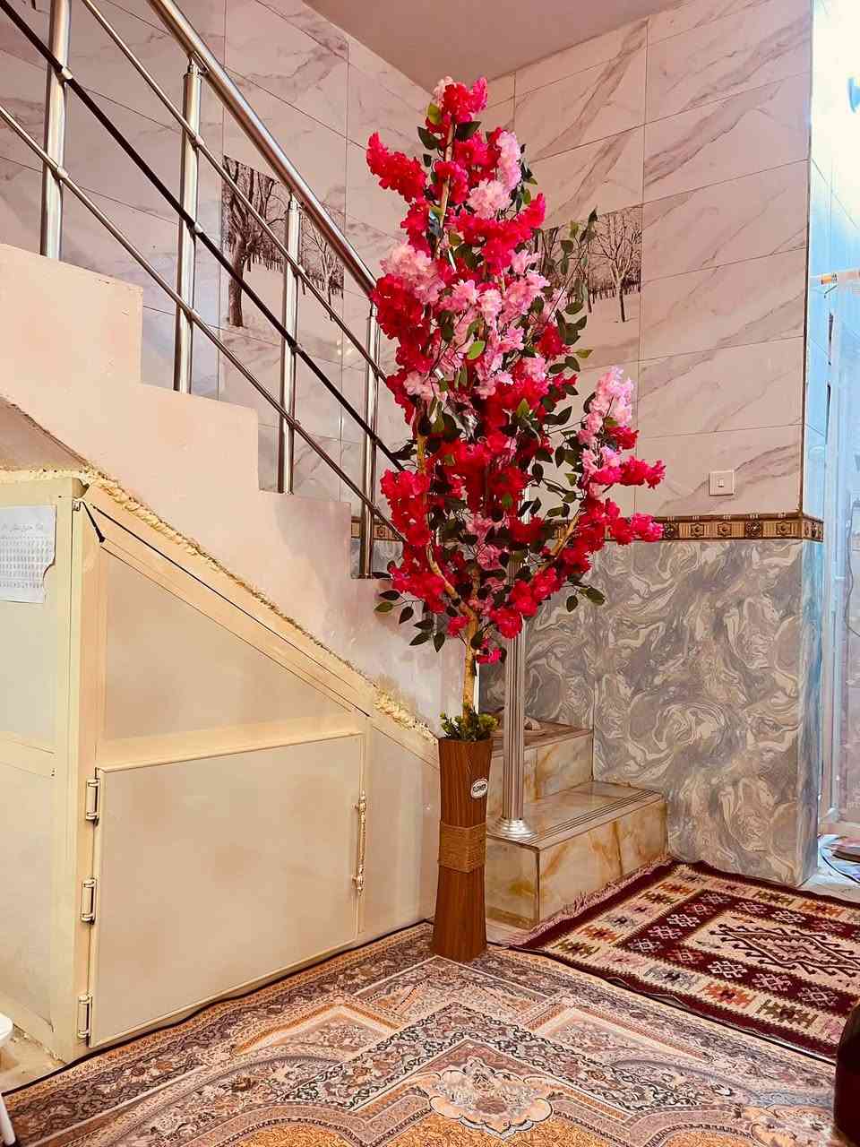 أشجار فريده وميزه
لمسه طبيعية 
***********
