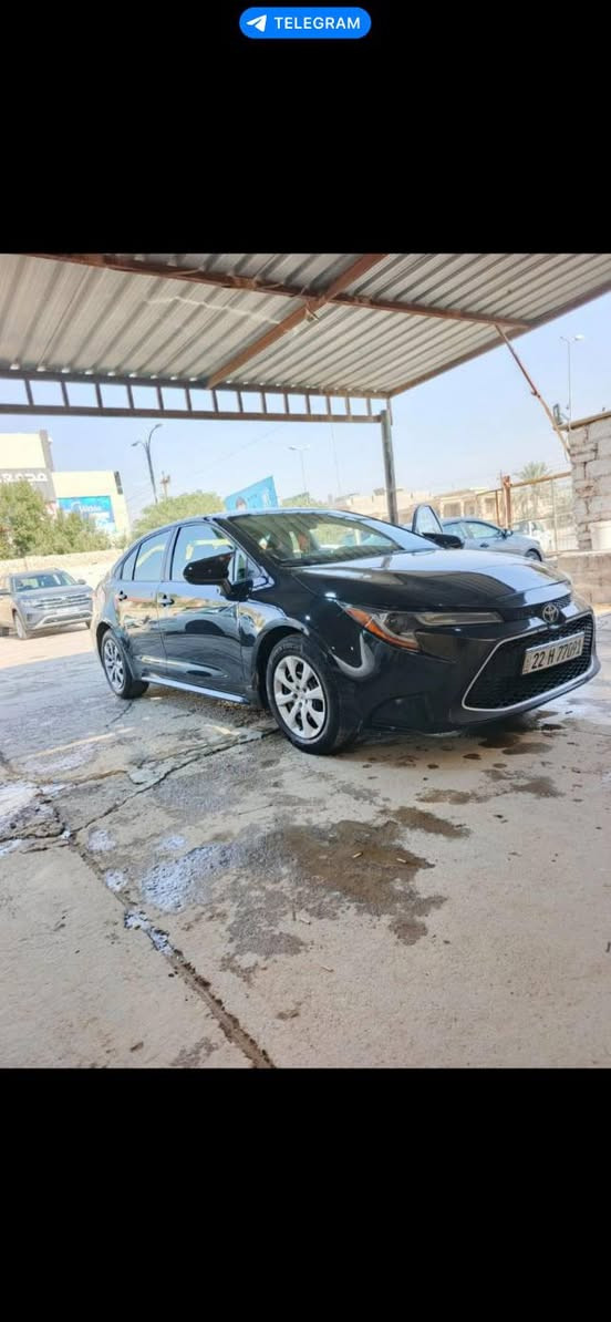 سلام عليكم مويل 20 بسمي رقم اربيل
سعر 135 وبيها مجال
***********
