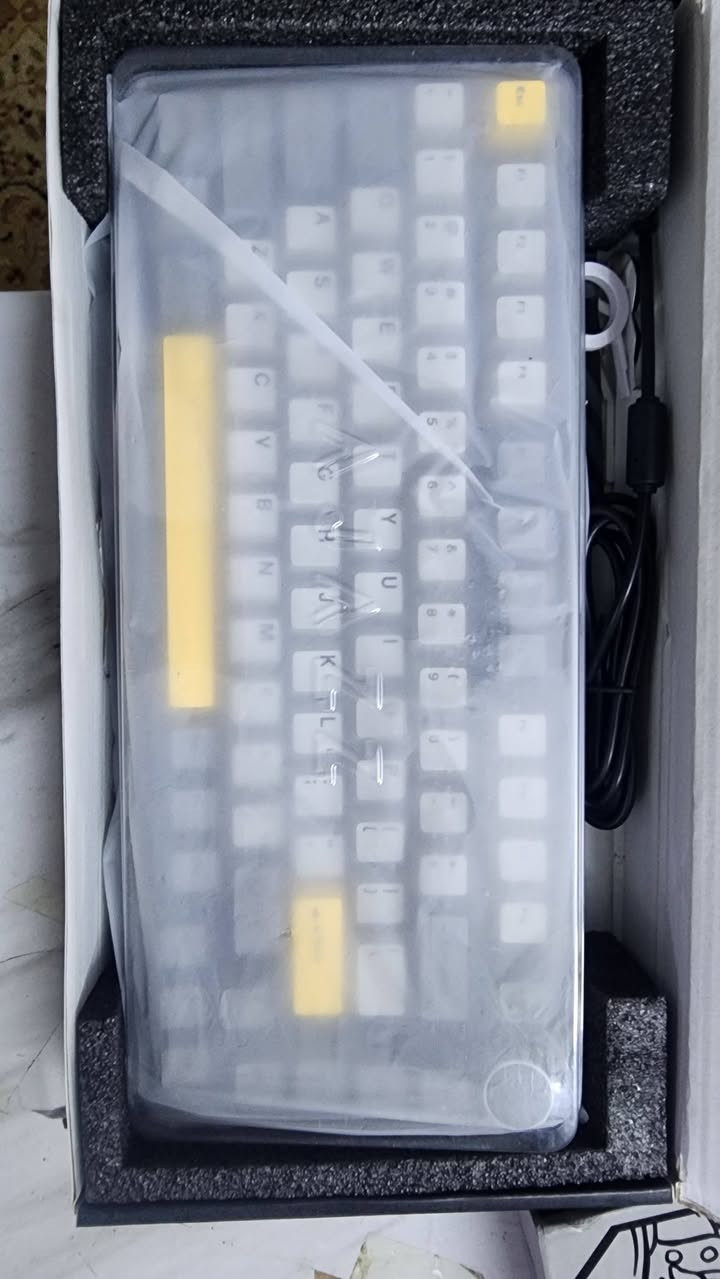 كيبورد وماوس اجاز جدد لوك السعر ٨٠ الف


**إذا كنت صاحب هذا الإعلان وتريد حذفه لأي سبب، رجاءا أرسل رسالة إلى الدعم الفني**