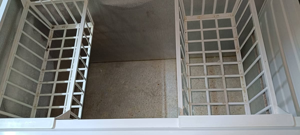 للبيع مجمدة حجم كبير شرط النظافة وشرط بلادي
سعره 150 وبيها مجال 
***********
