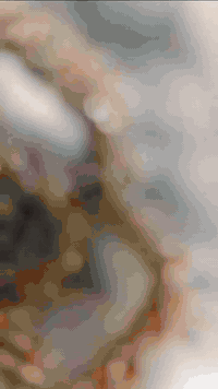 اختكم على باب الله لا اتقصرون وياه الهنوف للألبسة الخليجية    بس كلوله...