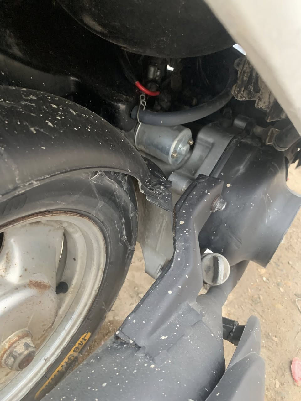 سلام عليكم ماكس منغولي كلها ملاح نكره سلف وعندو عوزها شوي ترتيب مكاني مدينه صدر اوراق كامله ومنفيس سعرها 500 وبيها مجال ***********
