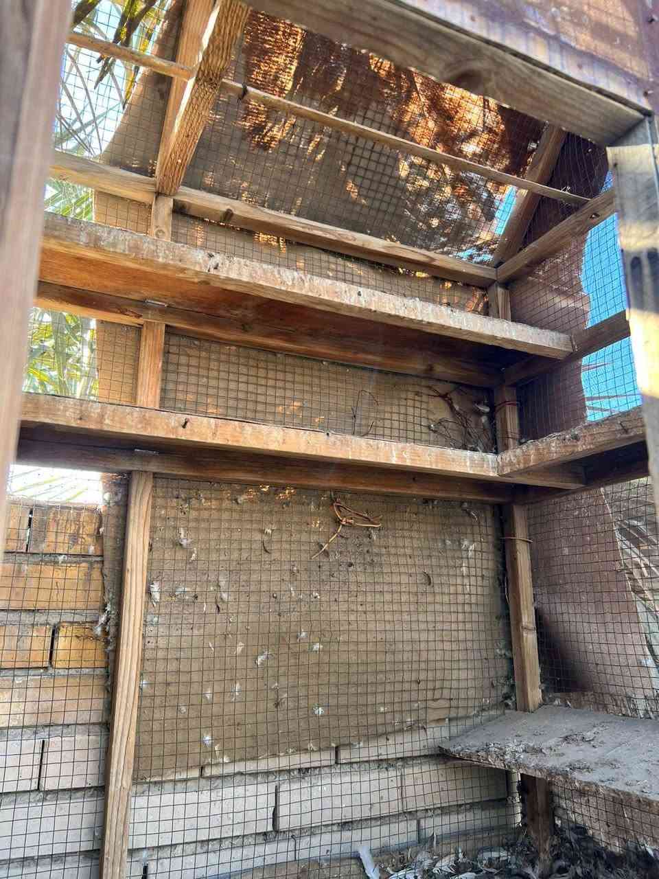 يا الله السلام عليكم قفص خشب متاح للبيع العنوان البصره قضاء المدينه للتواصل ***********
