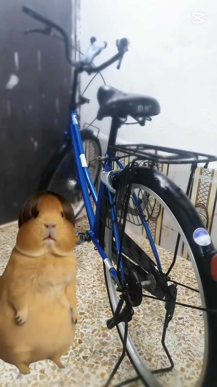 من رخصة مسؤول الگروب
دراجة هوائية للبيع🚴‍♂️🚴‍♂️⚠️⚠️
اللون: ازرق🧿
نوع الاضاءة: كعب لايت🔦
الحجم: 26
نوع الدراجة الهوائية: ياباني (اصلي) 🇯🇵🈲
إضافات: تحتوي الدراجة الهوائية🚴‍♂️ على ستاند موبايل📳+چرس اصلي ياباني💯❕+ قفل 🔐
السعر  هو {115} الف 💵 وبي مجال قليل رجاءاً رجاءاً... لحد يگسر بالسعر 
شراي عين غطة وعين فراش غيرها لا
تگسر بحلال الناس مع قدير الشگــر😘

مڪاني حي ميسان.


**إذا كنت صاحب هذا الإعلان وتريد حذفه لأي سبب، رجاءا أرسل رسالة إلى الدعم الفني**