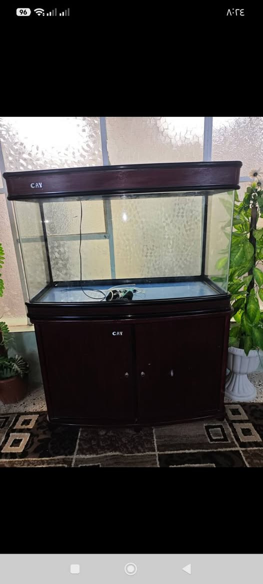 حوض سمك كبير السعر ب250الف


**إذا كنت صاحب هذا الإعلان وتريد حذفه لأي سبب، رجاءا أرسل رسالة إلى الدعم الفني**