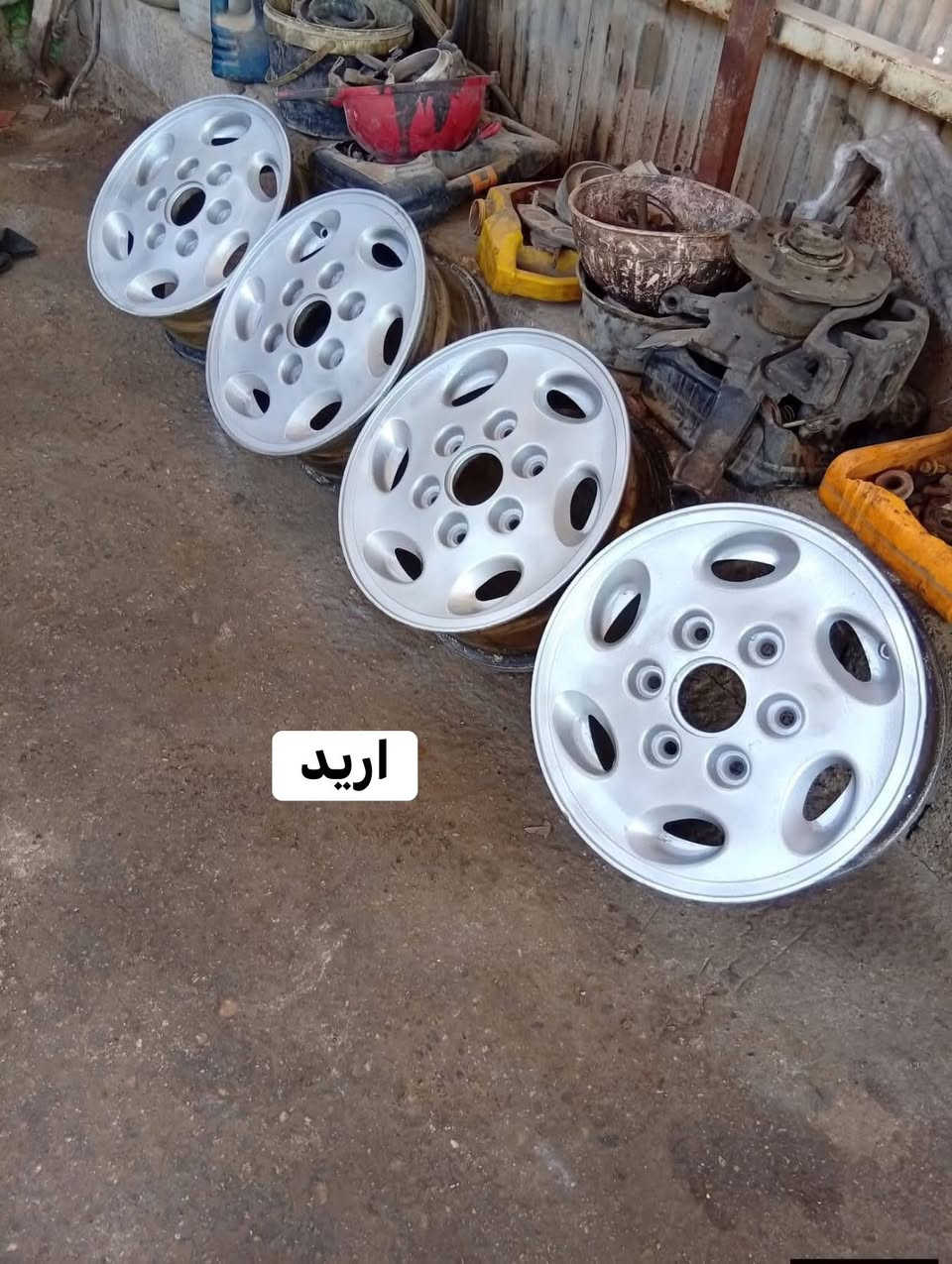 السلام عليكم عندي تخم ويل بريجو عادي وكبات ملكة اريد مراوس تخم ويل كب بريجو 14 مكاني بعقوبة واتساب ***********
