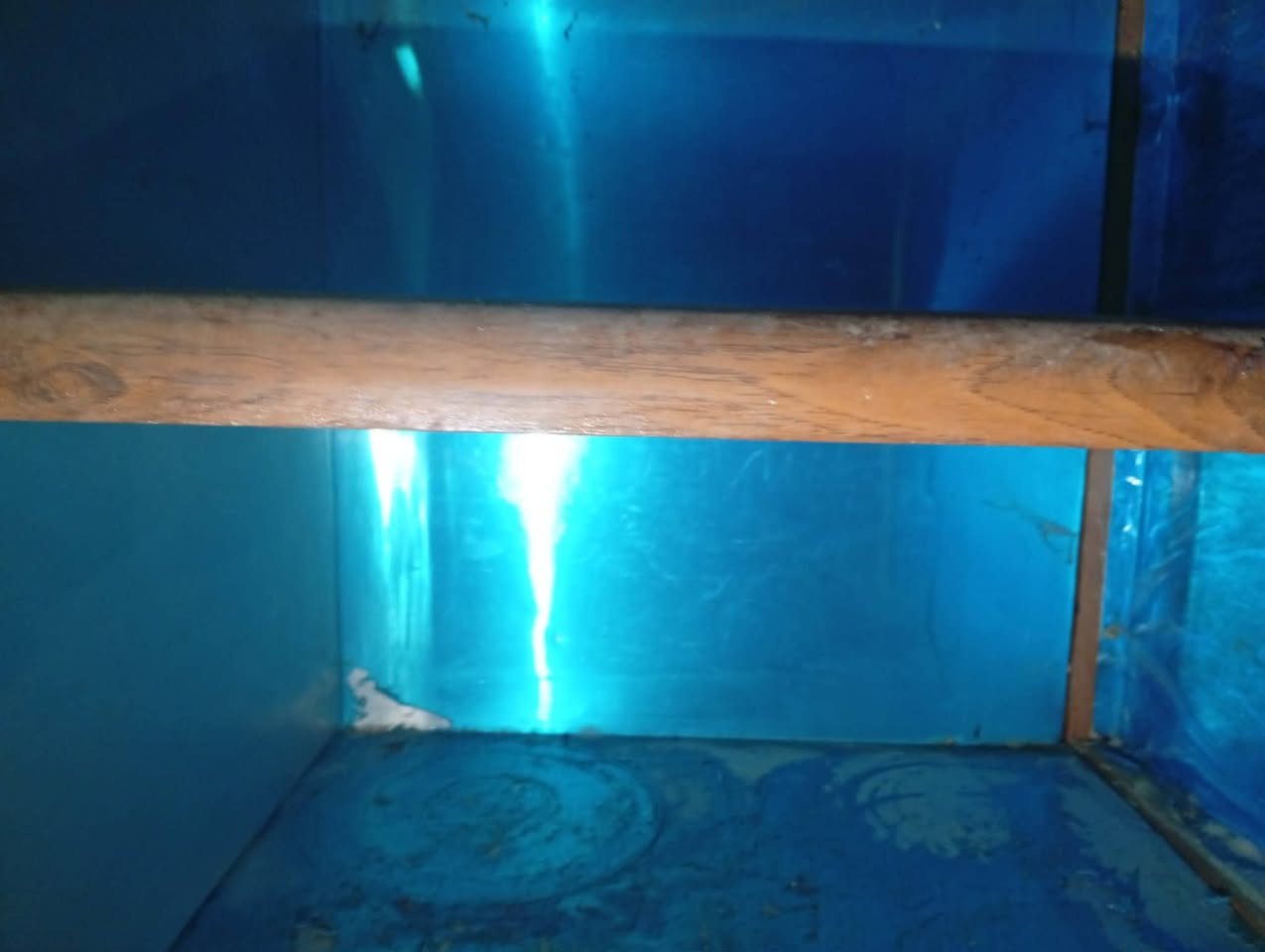 سنك للبيع ٥٠جربايه ٣٠ر***********
