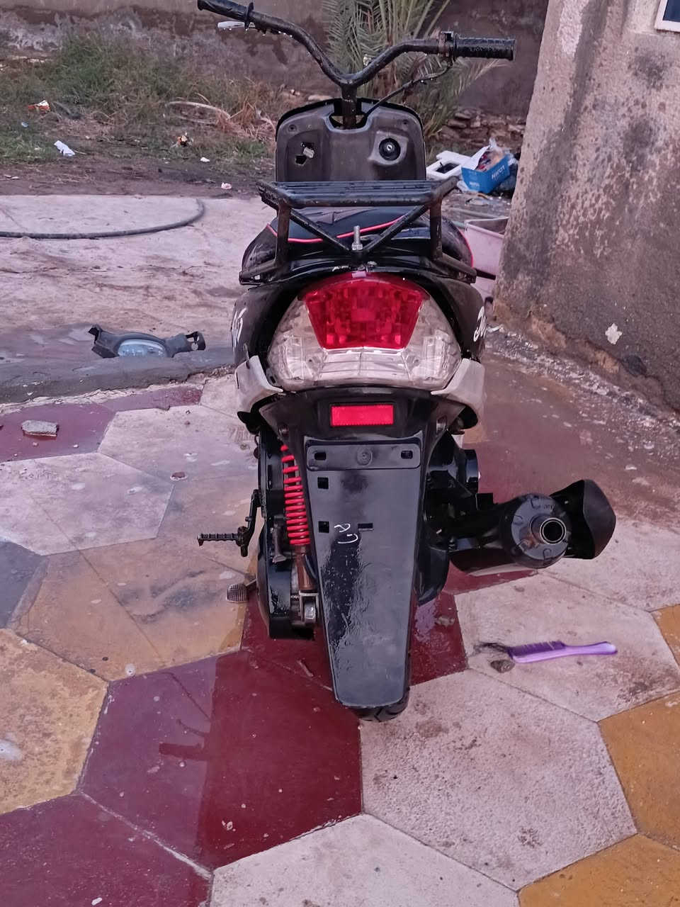 للبيع ماكس منغولي ب350
***********
