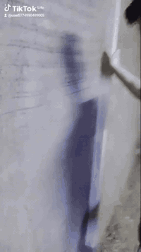 لباخ متفرغ حاليا سعر مناسب التزام بلعمل ***********
