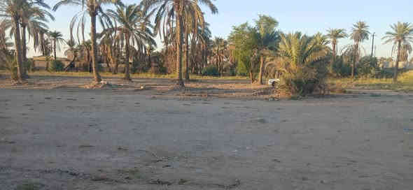 دوانم للبيع طابو ملك صرف
تحويل ثاني يوم
بغداد طريق سياحي
تبعد عالشارع السياحي خمس دقائق
قرب جسر جواد البشو
 تفاصيل  اكثر *********** 
لا مكتب ولا دلال لكاع بسمي اني
