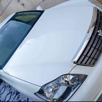 شاهينه • كارتون زيرو • ٢٠٠٧