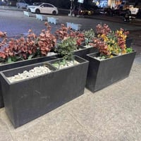 سنادين للبيع  ٥صغار و٥كبار 07713130762