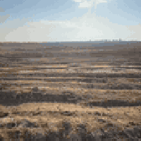 الفلوجة النعيمية • دوانم حسب الطلب • ماء كهرباء سقي