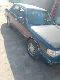 ارنب طويل • موكان ذيقار • سوق شيوخ