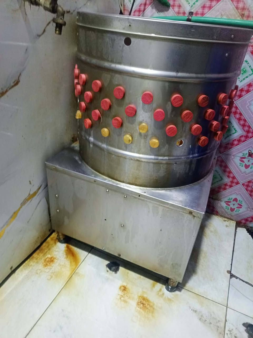 سلام عليكم هلاسه لبيع شرط الشغل وتنضيف شرط 5 دجاجات تنضفهن سوه


**إذا كنت صاحب هذا الإعلان وتريد حذفه لأي سبب، رجاءا أرسل رسالة إلى الدعم الفني**