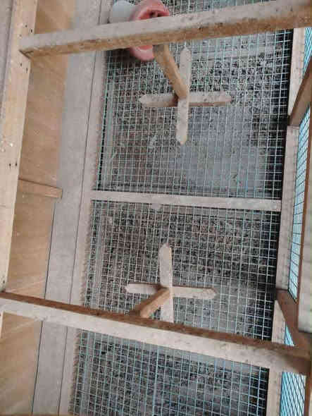 *********** متاح
