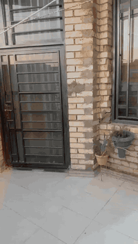 منزل للبيع الطابق الاول كامل وجاهز للسكن والطابق الثاني غير جاهز هيكل في العدل الثالث واجهة ٦ وربع ونزال ١٦ للاستفسار الاتصال على الارقام التالية
***********
***********
ابو عابد متوفر وتساب
