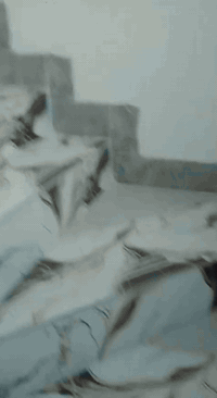 بيت للايجار طابقين 3 غرف نوم 3حمامات وصالة ومطبخ وماطور وسخان وخط مولد تكريت الديوم مربع 3000جهة التشجير السعر 300 والبيت جديد زيرو علما اني صاحب الدار مو دلال اتصل *********** مساحة 100 متر
