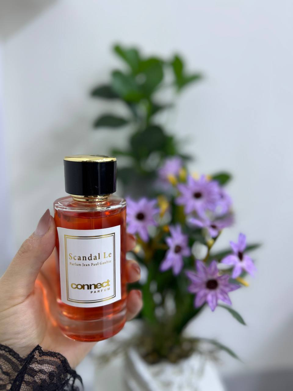 مع  ✨
انتعاش يدوم وأناقة تليق بصيفك ☀️
عطور باردة ومنعشة بنفحات نظيفة وخفيفة، تخليك حاضر بكل لحظة بثقة وجاذبية. 🌊💙
#كونكت #عطور_صيفية #عطور_باردة #CONNECT


**إذا كنت صاحب هذا الإعلان وتريد حذفه لأي سبب، رجاءا أرسل رسالة إلى الدعم الفني**