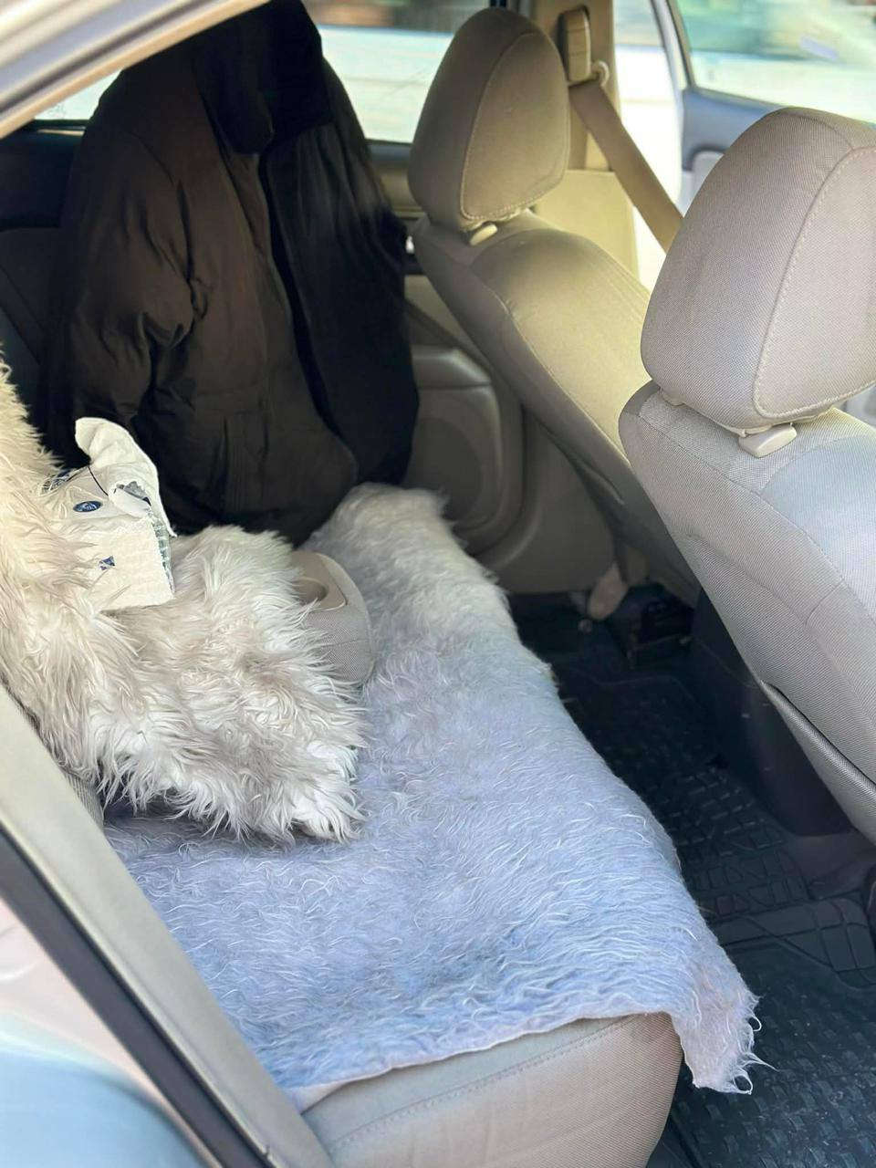 فۆرد فیوژن ٢٠١٠ SE
بێ بۆیاخ ١٥٠ هەزار ڕۆشتوە مەجموعەی سوکان و گێڕ و مەکینەی بە شەرت سەیارەکە کامل سێرڤس کراوە چوار تایەی تازەم بۆ کڕیوە پاتری و ڕۆنی مەکینە و هایدرۆلیک و تاقم پێشم کامل گۆڕیوە بە ناو خۆمانە کەی ویست پەنجە مۆر بۆ ئەکەم 

٩٠ گەڵا و مەجالێکی کەم مشتەری تێل بکە و وەرە سەیری کە لەگەڵ ڕێزم گەر سعر نازانی لە خۆوە ڕەقەم لێ مەیە 
0771 150 1754 السليمانية, العراق
