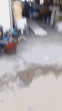 سلام عليكم محل انشائية كامل من كلشي للبيع عدم تفرغ سعر مناسب مكاني دوانية سنية سياحي رقم *********** شراي انتصل
