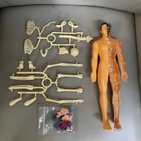 مجسم طبي • ضرر بسيط