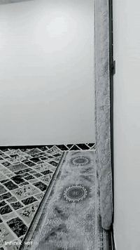 السلام عليكم ورحمة الله
يا رزاق يا كريم 

عندي البيت البيع 

عنوان علوة الفحل قريب على جسر الامام علي مقابيل الصيدليه هند ادور 

يحتوي الدار على 

غرفه عدد 2+صاله+مطبخ+استقبال+مكشوفه +حمام عدد 2 

بناء البيت 

طابوق جمهوري نهروان 

سقف صب 

اساس صب 
مساحه 100 متر 
سعر 40 وبيه مجال 

رقم الهاتف ***********

رقم الواتساب ***********
