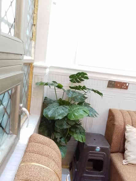 ديكورات عمر في سامراء التواصل ***********
