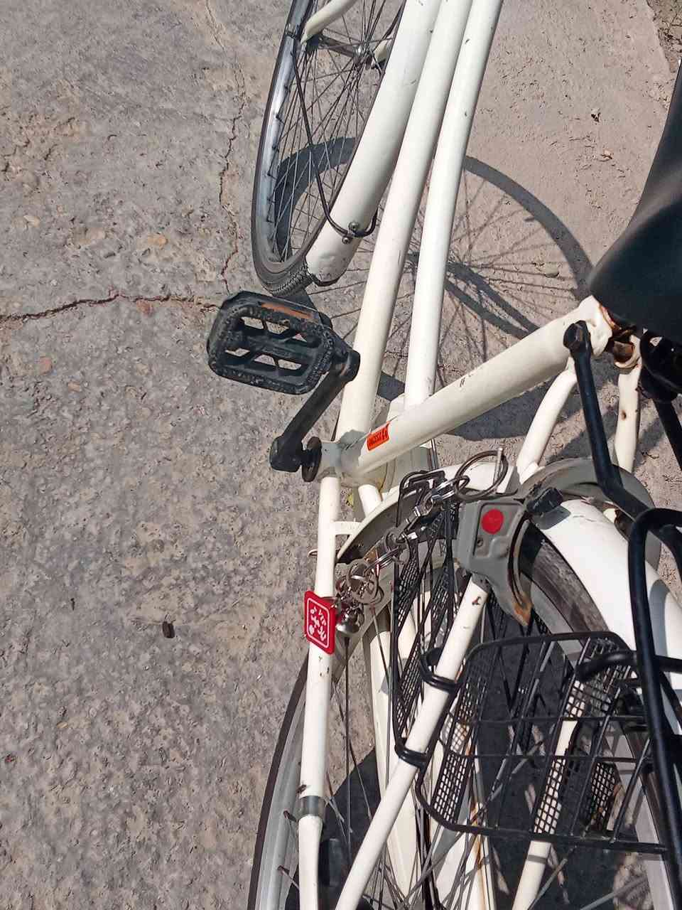 السلام عليكم بايسكل للبيع كل شي ما بيه شخطات بالشاملات السعر 110 موديل 13 رقم الهاتف ***********
