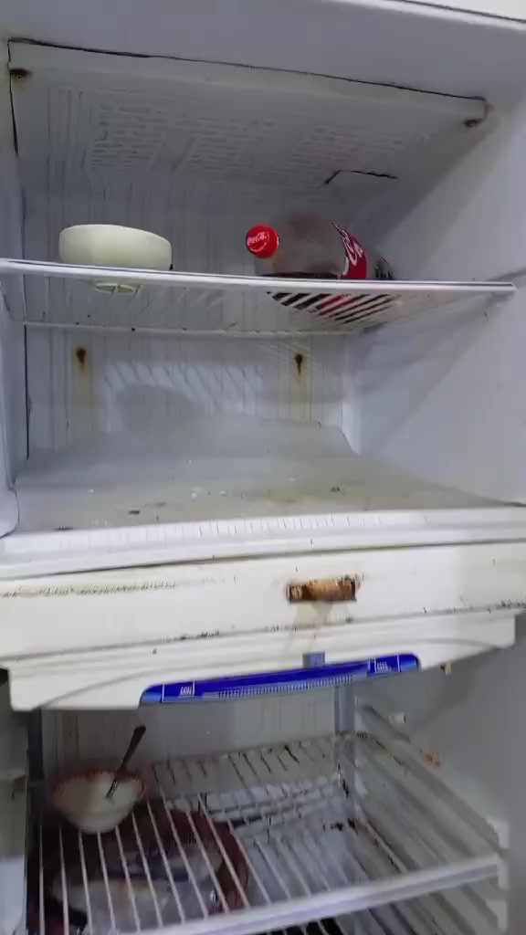 رمضان كريم عليكم وصيام مقبول انشاله ثلاجه للبيع كبيره تجميد فول السعر 150 الف


**إذا كنت صاحب هذا الإعلان وتريد حذفه لأي سبب، رجاءا أرسل رسالة إلى الدعم الفني**