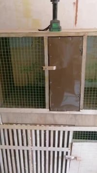 اقفاص للبيع السعر تعال خاص دلل  رقم 07702381931