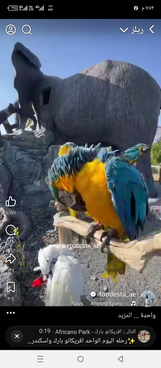 كل عام وانتم بالف خير
حملتنا يوم الاربعاء إلى مدينة الكاظمية المقدسة 
حلويات معجنات باب الاغا 
مول الحارثيه * حديقة زوراء سعر 8000
المتعهد الحاج ازهر الرويعي ***********
المتعهد محسن ***********
***********
