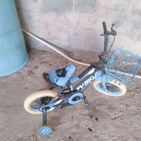 بيسكل • للبيع • سعر معقول