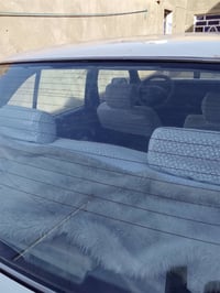 ارنب ايسر بلاد • جاهزه صرفيه • سديناويه