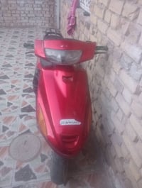 دراجة فراشة • زنجيل فالت • نجف مقابل قريت الغدير