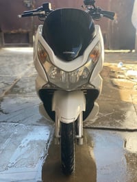 جيل لول • نضيفة • اوراق كاملة