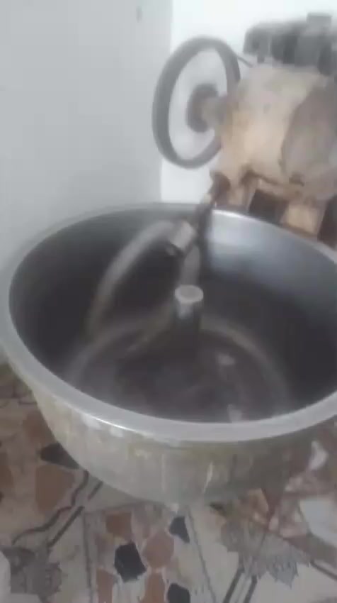 سلام عليكم
عجانه عراقيه  للبيع 
دانبر ام الجيس 
 نجف 
***********
