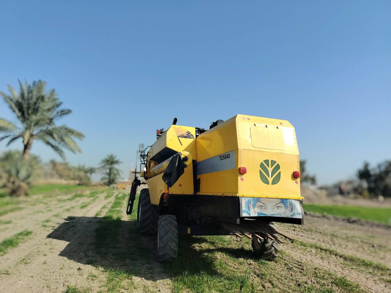 حاصوده البيع ربعه بلم للاستفسار, ***********
