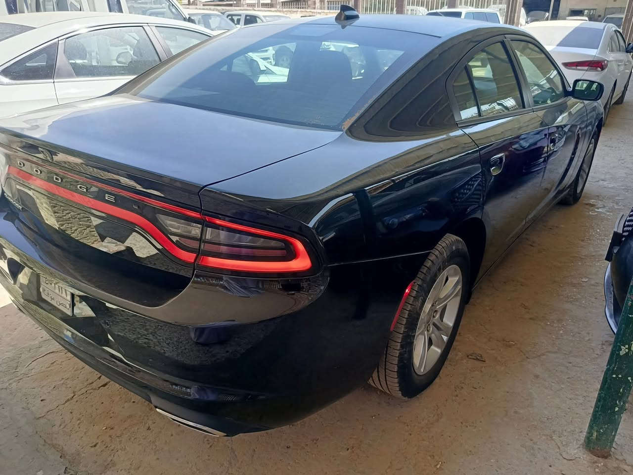 🔺دخول جديد دوج جارجر امريكي🔺
الموديل .2023🪬 اصل 

               (الاصدار الاخيرررر)

              اللون . اسود مميز 🖤

المسافة المقطوعة 25 mi فقط وظع الوكالة

حجم المحرك 3600

(كفاله السياره)

مواصفات السيارة ..

-كامرة خلفية دوارة HD

-لايتات زنون وكالة

-تشغيل عن بعد 

-كشنات حضن مع تحكم كهرباء

-حساس خلفي

- بلوجكترات زنون لد امامي 

-شاشة كبيره مع نضام GPS

-مري جانبية هيتر مع عاكس الضوء

-نضام USB- كامل 

-تبريد قطعتين

-بصمة ابواب 

( فحص باسمي اني المستورد بدون رقم تترقم جميع المحافظات)

مكان السيارة الديوانية 🫵

اي استفسار الاتصال. متوفر وتس اب 

📞‏‪‏‪***********‬‏
