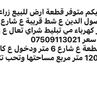 كلية اصول الدين • ١٥٠٠م • للبيع