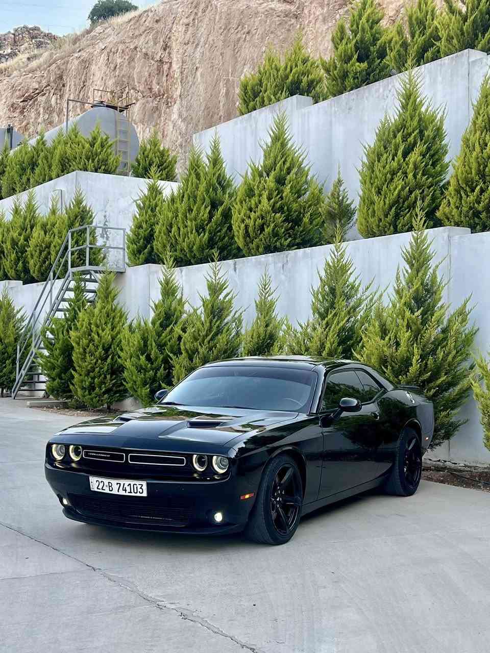 Challnger 2019 SXT
رقمها اربيل دولي جديد
كير محرك اكسل مكفولات
حجر البيئه شرط
بيها صبغ  فقط جمالغ امامي كلير 
بدون دواخل بدون ايرباك
ماشيه 100ميل 
سياره وضع شركه
تايرات جدد
وياله 20 هيلكات
صدرها جديد
شفتات ستيرين 
مسويلها ادامه كامله
حمام و بولش جديد
شاشه كاربلي
منضومه زينون اصلي 
رقم و سنويه جدد لغايه 2027
شرط تحويل
مكان سياره دهوك
سعر 170 بيها مجال بسيط
 مراوسه حسب قناعه
واتساب ***********
