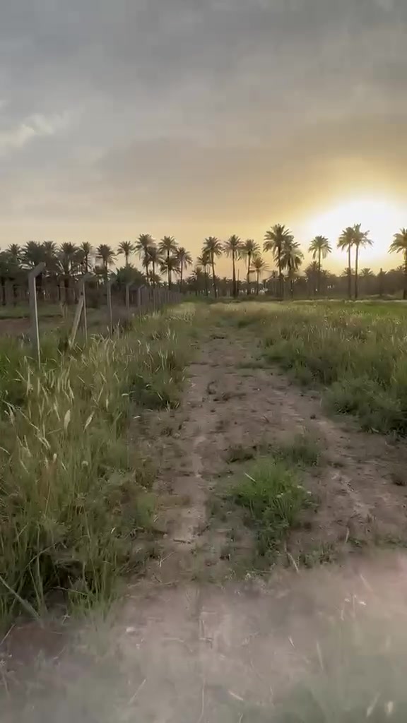 قطعه للبيع مساحة808م طابو زراعي سند 25

قريبه جدا على سريع النيل

خدمات متوفره كامله

وباقي التفاصيل موجوده بالفديو

للاستفسار اكثر الاتصال على الرقم

***********
