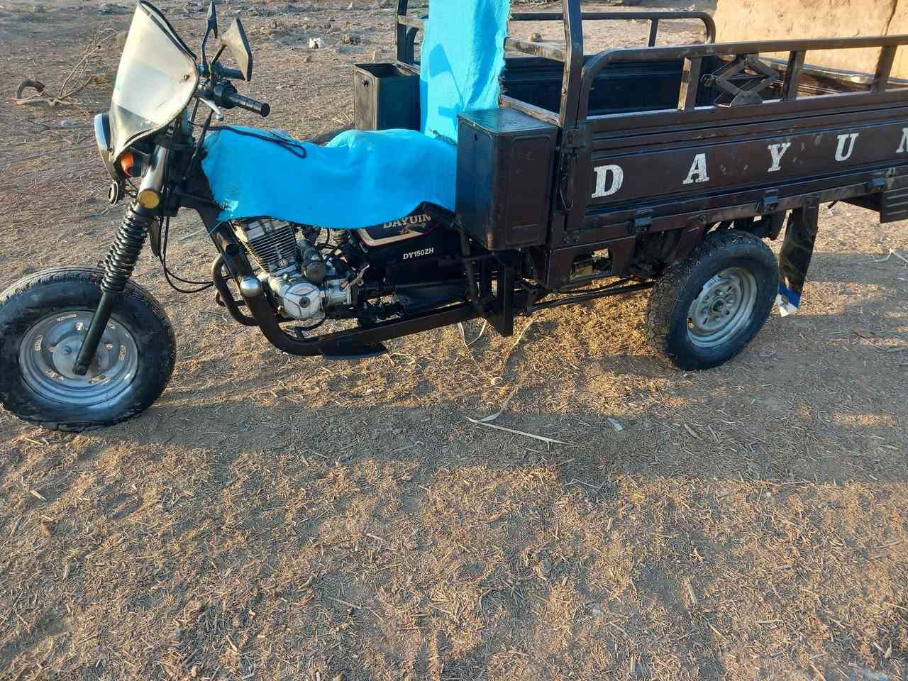 ***********N***********
