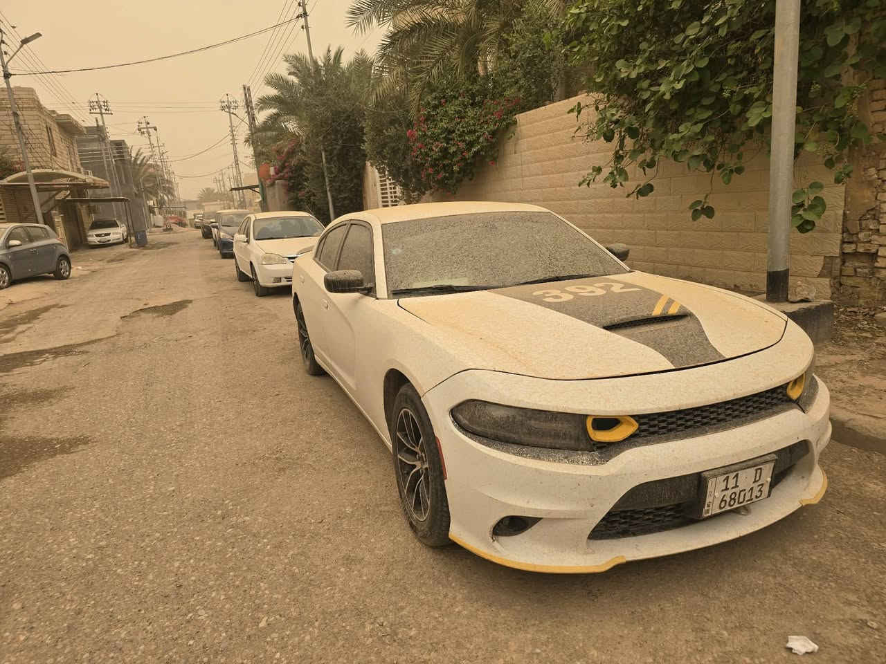دودج جارجر
٢٠٢١ 

رقم بغداد دولي بأسمي

بوليسي هيمي تو ويل

محرك ٥٧٠٠

ماشيه ١٣٣ الف كيلو متر

منظومة غاز تانكي ١٠٠ لتر 

يعني تنسه الصرف 

مواصفات بوليسي عاديه

كشن حضن

كشن سائق كهرباء

تدفئة كشنات امامي

دوشمه جلد اسود وكنتارا ابيض وصخ😅 

كامره خلفيه

دركه كاربون فايبر 

شاشه كار بلي وسط

عدسات ليد ماتركس دبل عدسه

بدون فتحه وبدون بروجكتر بالتكمه

فتحه وحده بالسقف مصلحه

ويل ١٨ 

حادثهه خلفي 

 وجنطه مبدله

جاملغ مصلح

بيهه تعديل شاصي خلفي جهة الراكب قليل

وبيهه ضربه بالجامغ الامامي بسيطه والجاملغ ع وضعه بعده تعديل ايد فقط

بنيد فتحه وحده

ادامه كامله للمحرك

 نوزلات وقايش ورولات كله جدد

عبوه جديده

واتر بم جديد

غرفتهه الداخليه يرادلهه شويه ترتيب مالي خلك اسويهه

حداديه نص عمر 

مكاني العماره

السعر ١٧٥

***********

حادثهه موجود واكيد الكل يعرف البوليسي يجي حادثهه قوي

الجماعه هناك يوكفون سيارات بيهه ومسويهه تصادمات😅😅

 والي ماتعجبه السياره فدوه جوه رجليه وكل الهلا بيكم اخوان

