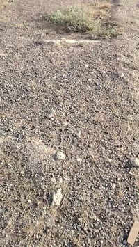 تل الرمان الشمالي • ١١٠م • وجه ٦ ونص