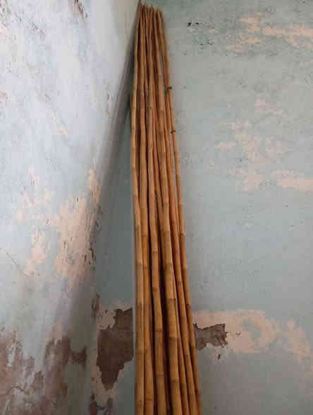 سلام عليكم خيزران البيع
طول 4 متر مكاني كوت 
العدد 50.    
 *********** بي وتساب
