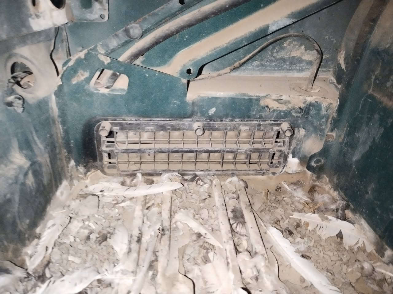 سلام عليكم اخوان كاسحه او خفاش للبيع تفصيخ اي شي محتاج راسلني عندي كل شي بس كير محرك مابيه راسلني واتساب رجاءاااااااا ***********
