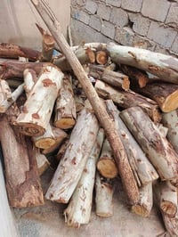 خشب • للبيع