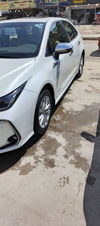 كورلا جهان • ٢٠٢٣ • رقم اربيل