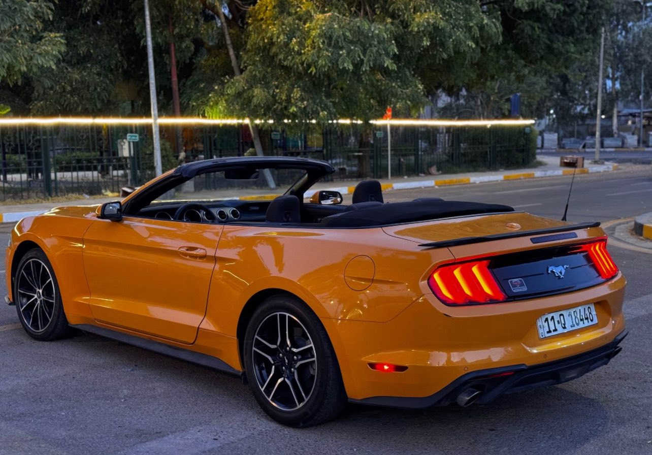 الغزالة للبيع 🧡
موستنك ايكو بوست 2022 كشف لون مميز

ماشية ١٦ الف السيارة بعدها بوضع الشركة وكلش نظيفة

مواصفات السيارة

كشنات كهرباء 🧡

كامرة خلفية 🧡

صندوك كهرباء 🧡 

ترحيب ذكي 🧡

تثبيت مسار 🧡

نقاط عمياء 🧡

رادارات محيطه خلفي وجانبي 🧡

تحكمات ستيرن 🧡

شاشة كبيرة 🧡

كار بلي 🧡

وغيرها هواي مواصفات ومواصفات الايكو بوست معروفة

السيارة حادثها سطحي جدا قطعتين جاملغ وشويه من البنيد واجه من امريكا الجاملغ مرشوش دبل كوت (كلير) بدون دواخل 🧡

السيارة ستوك مملعوب بيها وحتى حجر البيئه مملعوب بي ومكفوله كير ومحرك وتبريد وصدر وجديدات 🧡

السيارة رقمها بغداد الجديد وهزة جديدة وسنوية لل٢٠٣٠ 

السيارة بأسمي تحويل ثاني يوم

السيارة كلش نظيفة ومتتقارن بالمهجومات 🧡

وللعلم قبل ٣ ايام مبولشها للسيارة يعني تلمع لمع 🧡

مكان السيارة اليرموك بغداد 

سعر السيارة ١٨٥ وبيها مجال 🧡
للتواصل 
***********
